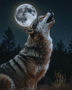 JETÉE EN MICROVISON IMPRIMÉ 48X60 AMOUREUX DES LOUPS